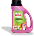 SUBSTRAL Magischer Blütenzauber, Celaflor
