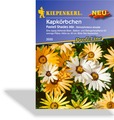 Kapkörbchen Pastell Shades Mix, Kiepenkerl