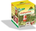 ObstfliegenFalle