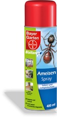 Blattanex Ameisenspray