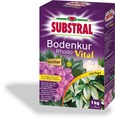 SUBSTRAL Bodenkur Rhodo-Vital