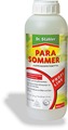 Para Sommer