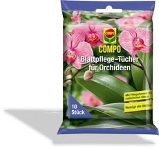 Blattpflege für Orchideen