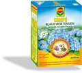 Blaue Hortensien