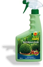 Buchsbaum Grün