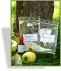 Nematoden gegen Apfelwickler