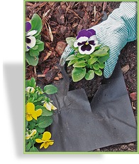 Mulchvlies 30 g / qm