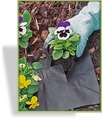 Mulchvlies 30 g / qm
