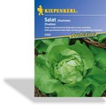 Salat, Kopfsalat Ovation