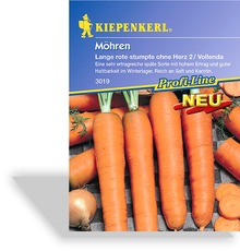 Möhre Lange rote Stumpfe ohne Herz