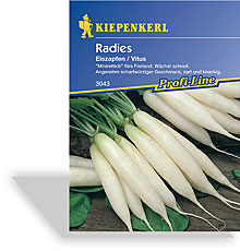 Radieschen Eiszapfen