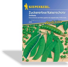 Erbse, Zuckererbse Delikata, Tolerant