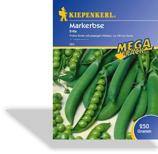 Erbse, Markerbse Evita (Mega-Pack)