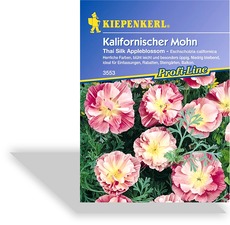 Mohn, kalifornischer Mohn Thai Silk Appleblossom