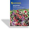 Wicke, Duftwicke Ripple Mix