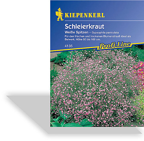 Kiepenkerl Saatgut Schleierkraut Weiße Spitzen