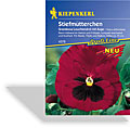 Stiefmütterchen Grandessa Leuchtendrot mit Auge, Kiepenkerl