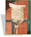Jutesack S Doppelpack