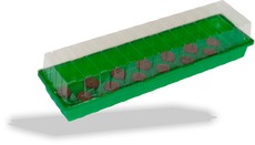 Fensterbank-Treibhaus mit 20 Kokos-Quelltabs