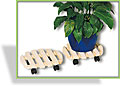 Pflanzenroller, Windhager