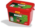 Schatten-Rasen plus Rasen-Starter-Dünger