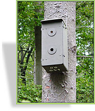 Hornissen-Nistkasten