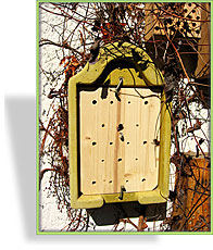 Insekten-Nisthaus