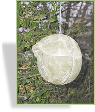 Zaunkönig-Kugel 1ZA, Flugloch 30 x 27 mm