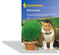 Katzengras, Portionssaatgut