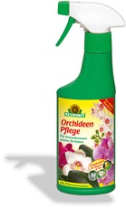 OrchideenPflege