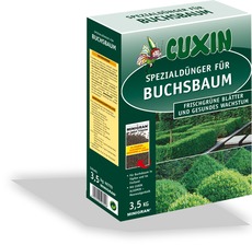 Spezialdünger für Buchsbaum