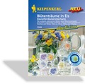 Blütenträume in Eis