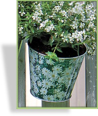 Balkonhalter "Margeriten"