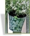 Balkonhalter "Margeriten"