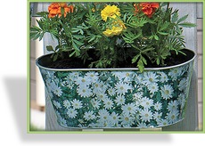 Balkonhalter "Margeriten"