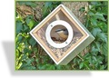 Vogelhäuser als Futterspender