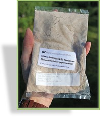 Ameisen-Ex BIO Nematoden