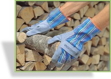Handschuhe