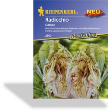 Radicchio Galileo