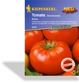 Tomate, Fleischtomate Pyros, Tolerant, F1