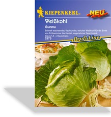 Weißkohl Gunma