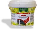 Weißanstrich-Paste