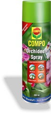 Orchideen-Spray