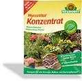 MyccoVital Konzentrat