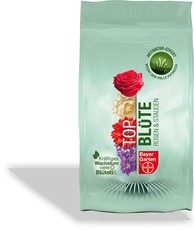 Top Blüte Rosen und Stauden