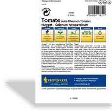 Tomate, Pflaumentomate Nugget, F1