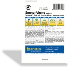 Sonnenblume Suntastic