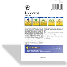 Erdbeere Toscana, F1