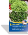 Saatband-Spender Salat Lollo Biondo und Asia