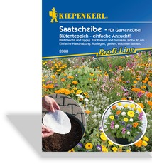 Saatscheibe Blütenteppich